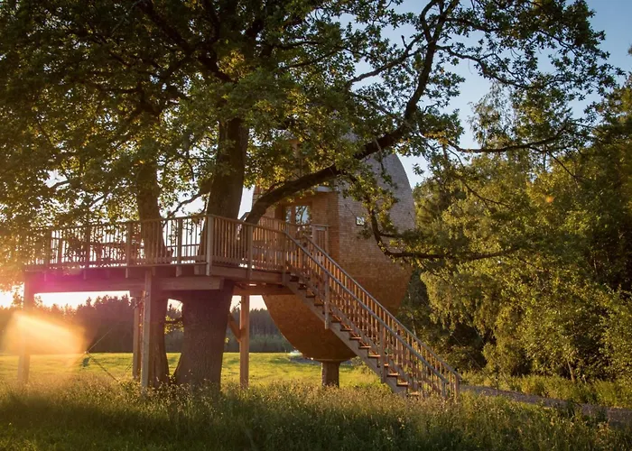 Und Baumhaushotel 4* Betzigau