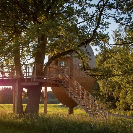 Und Baumhaushotel 4* Betzigau