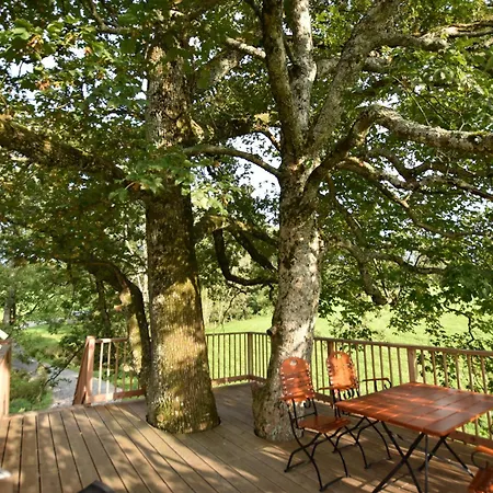 Appartement Und Baumhaushotel